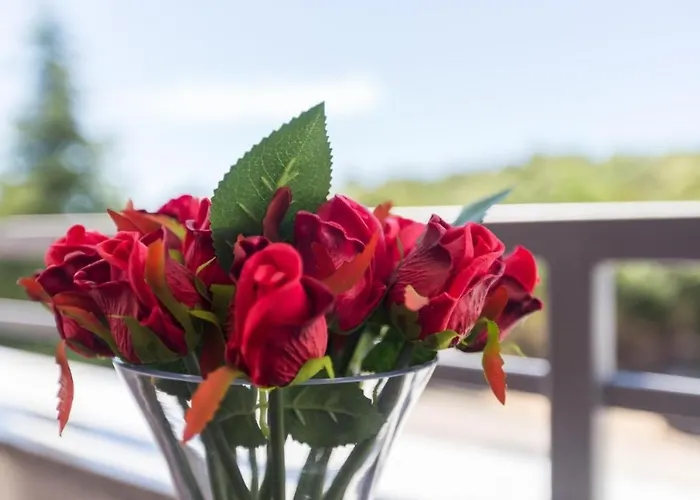 Antonietta * 브르사르